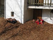 E dopo la fatica, il meritato riposo in un letto di foglie