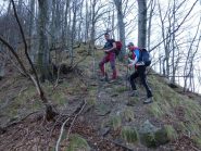 nel bosco di faggi