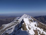 vista Lausetto