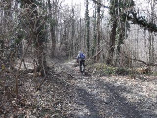 varianti local in basso....
