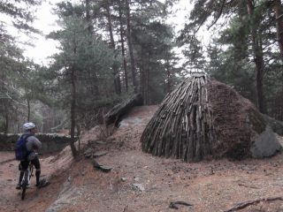 carbonaia