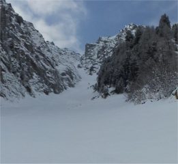 Alf e Nadia o camosci...? 