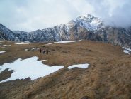 Poco dopo l'Alpe Sionei; sullo sfondo la Punta del Vallone