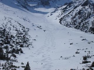 Un migliaio di curve 