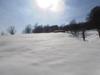 01 - le praterie iniziali immaccolate