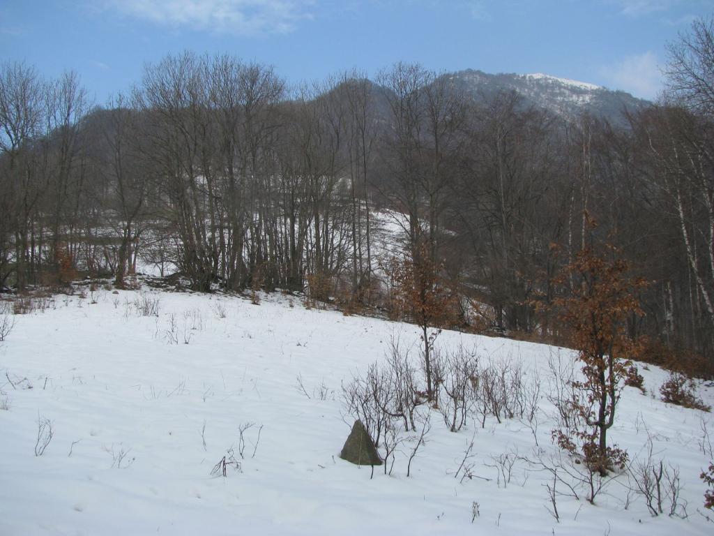 In alto si intravede la Punta Arbella