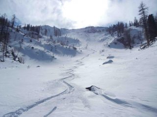 Parte alta del bosco sotto Gran Pelà