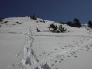 Il secondo(salendo)ripido promontorio. 