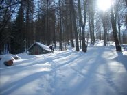 salendo nel bosco...