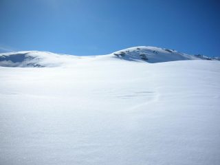 ce n'è per tutti!