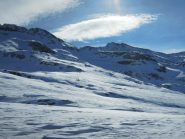 Tamierhorn