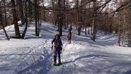 nella pineta sopra Devero