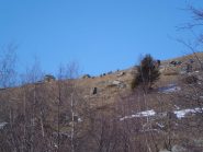 Fuggi fuggi generale