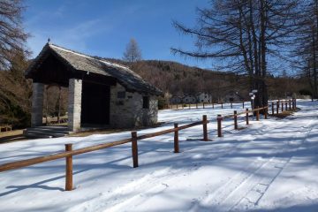 Alpe Pescia