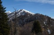 La dorsale