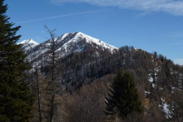 La dorsale