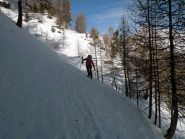 traverso nel bosco