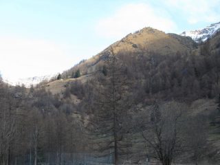 La cresta sud della Punta delle Maife