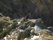 Non si è ancora accorto della mia presenza