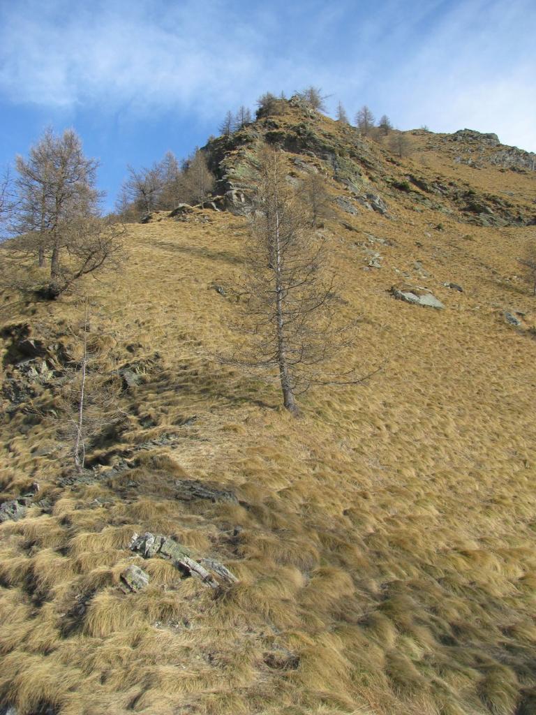 Prima parte della dorsale