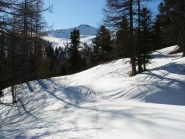 Cima Saurel sullo sfondo