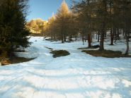 La prima salita accanto alla pista da sci da Estoul