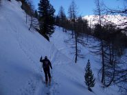 traverso nel bosco verso l'Epee