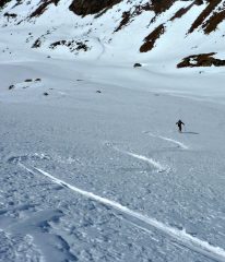 farina in discesa