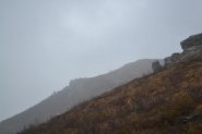 camosci nella nebbia