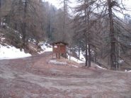 Partenza