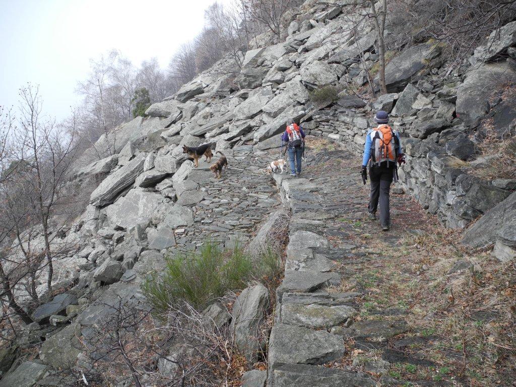 discesa da Echallogne