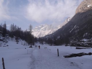 si parte