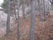 Tratto di sentiero indicato da pezzi di plastica bianco-rossi