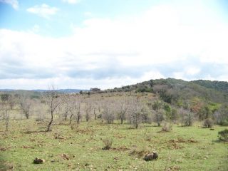 casa Saraceno