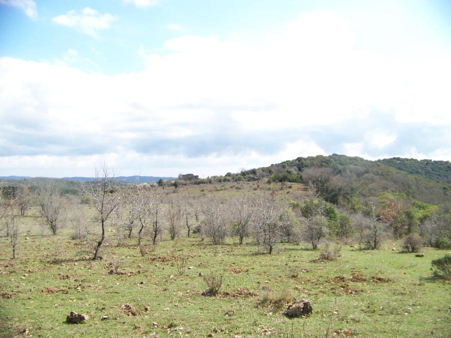 casa Saraceno