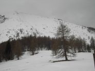 Il Chiot,in centro verso la piccola sella il pendio di salita. 