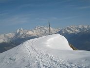 Cima