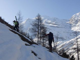 Salendo sulla mulattiera 