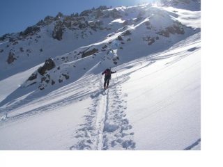 Con sorpresa c'e' la farina...