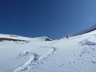 Prime curve dal Malacosta su farina pressata