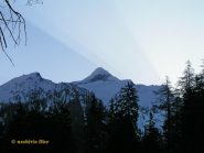 Il Bortelhorn alla partenza.