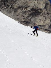 Orfo sotto il Col d'Ambib 