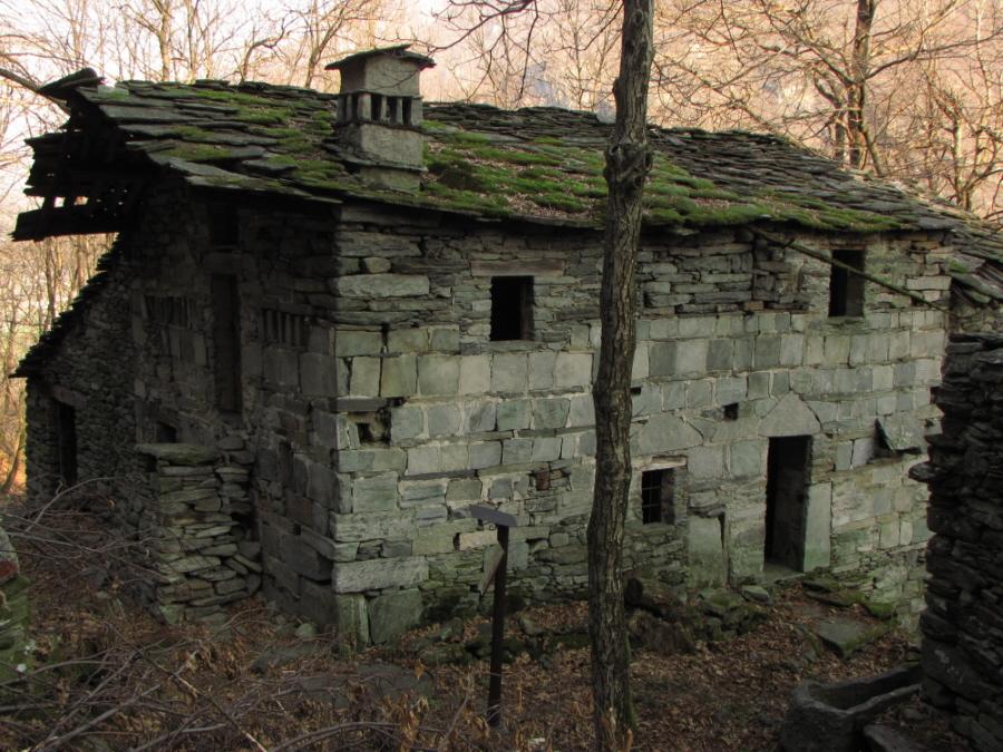 casa gemina a pianit