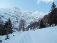 Alpe Piumogna
