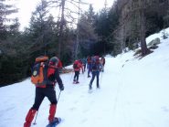 inizio della pineta