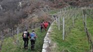 risalendo l'area dei vigneti