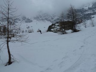 Prima del bosco