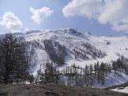 pitre de l'aigle salendo