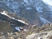 stambecco in Val di Sea