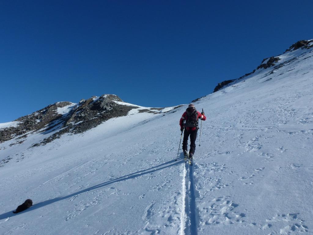 in arrivo al grindenkarkorpfe